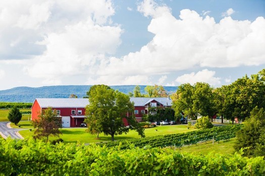 vineyards with a winery