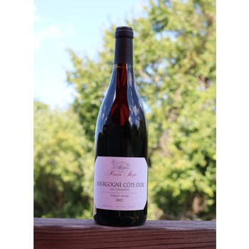 Maison Shaps Bourgogne Pinot Noir 2022 Les Chazots