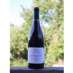 Maison Shaps Bourgogne Pinot Noir 2022 Les Lurets